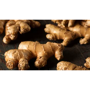 Ginger (48)-7226433-33864.webp